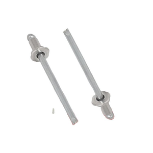 Rivet aveugle industriel en acier inoxydable à tête florale pour plastique et métal mince - Product Image 1