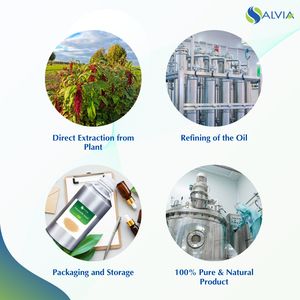 100% huile de graines d'amarante pure et naturelle en gros à bas prix avec emballage personnalisé Type d'huile essentielle pure - Product Image 4