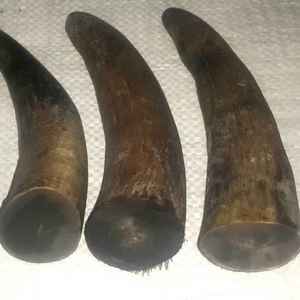 งานฝีมือคุณภาพสูง เป็นมิตรกับสิ่งแวดล้อม ทำจากเขาควายแท้ สีธรรมชาติ ขนาดสั่งทำได้ งานฝีมือทันสมัยเหนือกาลเวลา เหมาะสำหรับงานแต่งงานและวันหยุด - Product Image 1