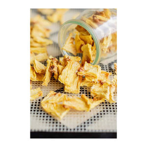 Piña seca a granel en stock para minoristas y distribuidores que necesitan inventario confiable - Product Image 4