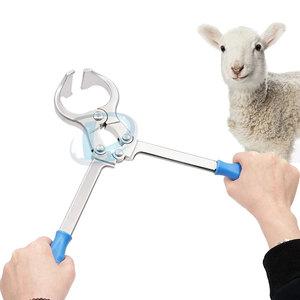 Veterinary <b>Tools</b> Emasculator <b>Castrator</b> Quality Made Reusable Instrument Emasculator <b>Castrator</b> - Product Image 2