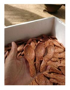 Cuillère et couverts en bois pour le café, le thé et l'utilisation d'une cuillère à thé pour l'exportation Vente en gros du fabricant du Vietnam à prix compétitif - Product Image 4