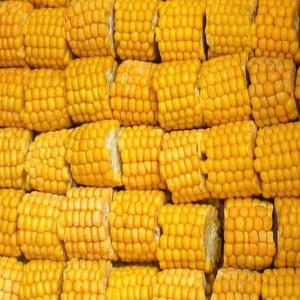 Maïs entier surgelé du Vietnam par procédé LQF, avec une durée de conservation de 24 mois, conditionnement sous vide et en vrac, préservation par l'eau - Product Image 3