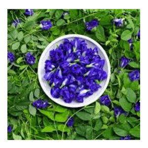 ชาดอกกระเพาะผีเสื้อสีน้ำเงิน ผลิตภัณฑ์คุณภาพเยี่ยม ดอกแห้งพรีเมียม สำหรับชาสมุนไพร สารต้านอนุมูลอิสระ พร้อมส่งออก ขายส่ง - Product Image 5