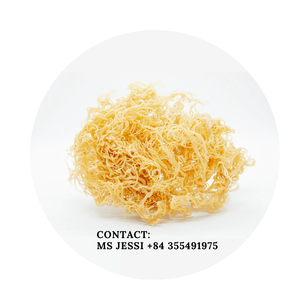 Musgo de mar púrpura orgánico crudo | Superalimento irlandés secado al sol para el bienestar // Sra. Jessi - Product Image 1