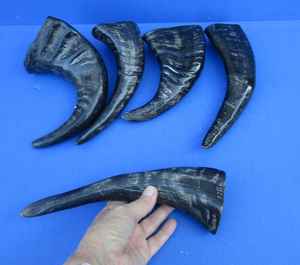 Mn ส่งออกฮอร์นเป่าทะเลแกะสลักจากธรรมชาติ100% ที่มีคุณภาพสัมผัสที่แท้จริงและรูปทรงที่เป็นธรรมชาติ - Product Image 4