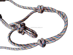 Licou de cheval haut de gamme du fabricant Meilleure vente 8mm d'épaisseur PP Smart Design Style anglais Offre Spéciale personnalisable - Product Image 2