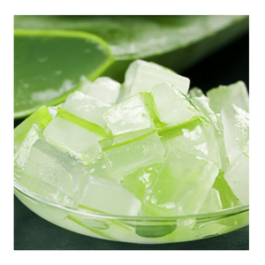 Aloe Vera congelado de Vietnam para aplicaciones alimentarias con embalaje a granel de textura suave de calidad consistente y entrega confiable - Product Image 6