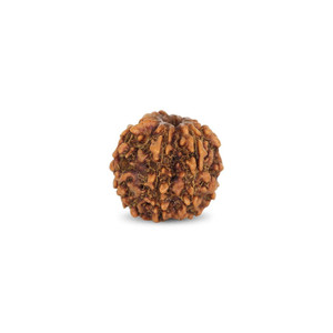 Perles en bois de Rudraksha de 2,66 carats, produit de qualité supérieure - Product Image 1