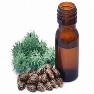 Graines de ricin biologiques Ricinus communis Produit agricole séché Prix d'usine Vente - Product Image 4