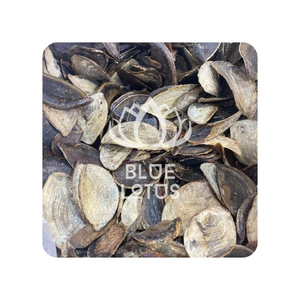 MUREX SEASHELL MUREX LISTO, perfecto para tocador de baño y decoración de etiquetas de nombre de eventos exóticos, conchas de venta rápida - Product Image 1