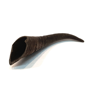 Cuerno decorativo de cabra natural para el jardín del hogar Cuerno de cabra semiacabado Ram Shofar Horn - Product Image 6