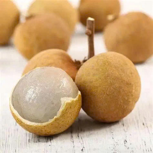 FRUITS LONGAN FRAIS DU VIETNAM/SAVEUR SUCRÉ PREMIUM/LONGUE DURÉE DE CONSERVATION/PRÊT À L'EMPLOI POUR LES IMPORTATEURS - Product Image 1
