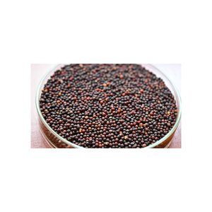 เรพซีดจำนวนมากสำหรับอุตสาหกรรมบดน้ำมันทั่วโลก - Product Image 3