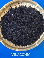 Riz gluant du Vietnam 5% cassé/noir gluant/collant/riz noir Riz Rise Riso Arroz/sac sous vide 1kg 2kg / ANNA DO VILA