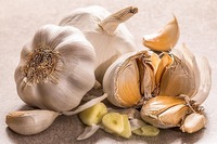 Ail blanc frais à bas prix, qualité export, pureté 99%+, certifié FSSAI ISO/HACCP, qualité alimentaire, Sunari Enterprises, 1 an