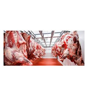 Meilleures ventes de viande de bœuf HALAL FRAICHE CONGELÉE, MUSCLE CONIQUE, EN VENTE EN GROS, EMBALLÉE SOUS VIDE, PRÊTE À L'EXPORTATION - Product Image 5