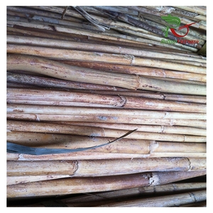 Pôles en rotin naturel de 12 à 30 mm de la marque HNIECO, respectueux de l'environnement, matière première artisanale, mobilier de jardin, fabrication vietnamienne, agriculture - Product Image 2