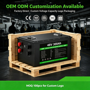48V 300Ah LiFePO4电池 15.36kWh 深循环磷酸铁锂电池，用于太阳能存储、房车、船用、离网系统 - Product Image 4