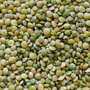 Lentilles séchées biologiques de haute qualité, rouge vif/vert/rouge, 25 kg - Product Image 5