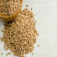 Thé aux céréales séchées, orge torréfiée, pissenlit amincissant pour le ventre plat, en vrac, prix de gros