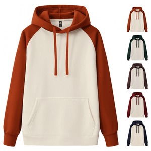 Vente en gros Sweat à capuche personnalisé poids lourd surdimensionné OEM qualité supérieure Sweat-shirt unisexe poids lourd pour hommes - Product Image 2