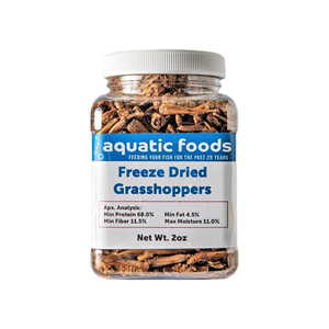 Grillons séchés de qualité supérieure, biologiques, propres et idéaux pour une alimentation saine et un apport en protéines - Product Image 6