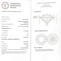 Diamantes Cultivados en Laboratorio, Corte Excelente, Redondos, Sueltos, VVS VS CVD, con Certificado IGI, Venta al Por Mayor