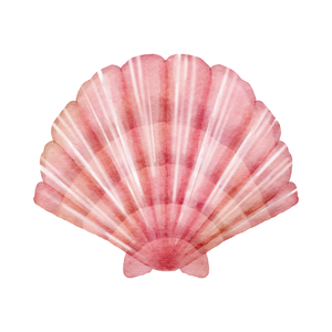 ชายฝั่งทะเลอวกาศคู่มือเปลือกหอยในราคาที่ดี - Product Image 3