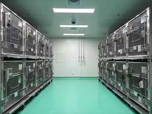 Animale in acciaio inox laboratorio gabbia di allevamento per cane coniglio scimmia maiale attrezzature veterinarie - Product Image 2