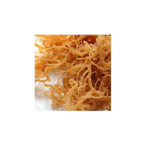 GRADE 1 ORGANIC PREMIUM PRODUCT at the BEST PRICE for <b>GOLDEN</b> DRIED <b>SEA</b> <b>MOSS</b> - Product Image 6