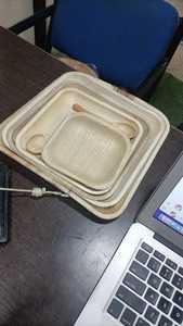 Platos desechables de hoja de palma Areca, 25 unidades, ecológicos, compostables, biodegradables, ligeros, para congelador, seguros, para fiestas, bodas - Product Image 2