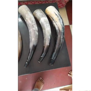 Corneta Vikinga Ecológica de Cuerno de Búfalo Natural para Señales - Product Image 2