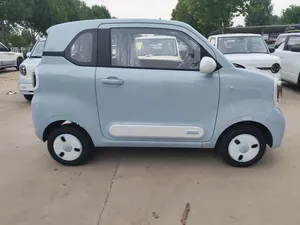 2025 F-E-W Bes-une Po-ni Auto-matic Porte-bagages de toit métallique Sièges en cuir Batterie au lithium Caractéristiques premium - Product Image 6