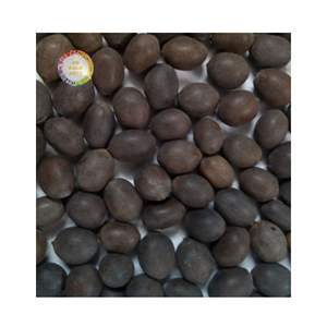 เวียดนามเมล็ดบัวดำเมล็ดแห้งธรรมชาติสำหรับการผลิตเครื่องดื่มส่วนประกอบของหวานขายส่งส่งออก - Product Image 3