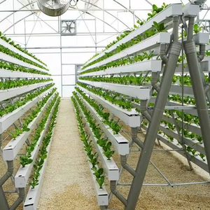 Bancos rodantes hidropónicos EBB: marco de acero de alta calidad con sistema de inundación y drenaje - Product Image 1