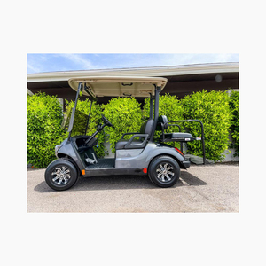 Carrito de golf eléctrico de grado premium, respetuoso con el medio ambiente, con batería, rango de 30km, velocidad de 30 km/h para campos de golf, comunidades de hoteles - Product Image 5