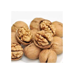 Nueces al por mayor, suministro a granel, precio bajo, nueces frescas y crujientes de calidad - Product Image 5