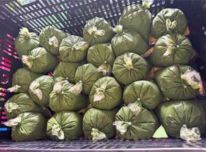 Hojas de Yuca Verdes / Fuente Vegetal Pura / Etiqueta Limpia / Congeladas y Conservadas / Proceso BQF / Calidad Superior / Envasado al Vacío / 10 kg - Product Image 2