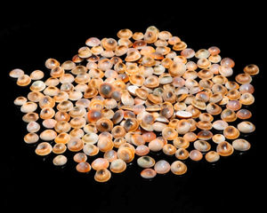 Vente en gros Agate de Shiva en vrac Yeux Pierres précieuses naturelles pour la guérison et la thérapie par la méditation Assortiment de mélanges du fabricant grossiste - Product Image 1