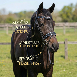 Cómoda Brida Inglesa de Cuero Negro para Caballo, Silla de Montar con Acolchado Azul Claro, Muserola Acolchada Suave, Modelo KZ-BL-602 A+ - Product Image 3