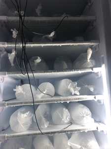 Congélateur vertical commercial à glace 220V 198 L sur mesure à énergie solaire avec congélateur supérieur 65-70 kg 11 niveaux - Product Image 1