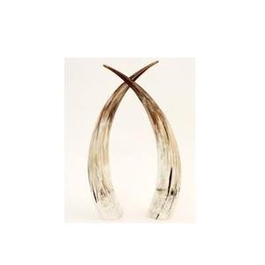 100% corne de paire de buffle naturelle avec support en bois vaisselle maison et fêtes décorer pièce corne de paire de buffle - Product Image 5