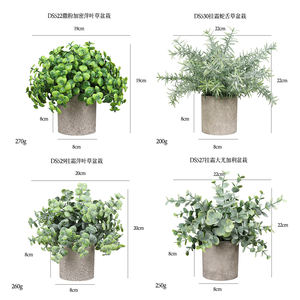 DS501 Mini plante <span class=keywords><strong>en</strong></span> <span class=keywords><strong>pot</strong></span> fausse <span class=keywords><strong>en</strong></span> plastique fausse petite plante d'<span class=keywords><strong>eucalyptus</strong></span> romarin <span class=keywords><strong>en</strong></span> <span class=keywords><strong>pot</strong></span> <span class=keywords><strong>pour</strong></span> salle de bain cuisine ferme chambre décor - Product Image 3