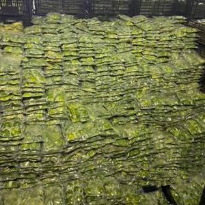 Avocat glacé Offre Spéciale à prix compétitif, Fruit Tropical, vacances - Product Image 1