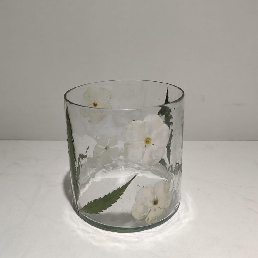 Plain Transparent Glass