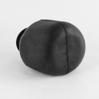 Pompe à eau gonflable 24L 8L 50L 100L, réservoir de conteneur, fournisseur d'usine, vessie en caoutchouc, conteneurs en butyle sous pression 220v, membrane EPDM