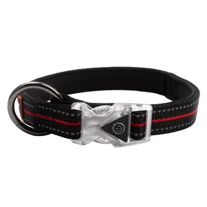 Collier pour chien LED clignotant personnalisé de qualité supérieure, meilleures ventes, style luxueux, matériau en nylon, motif imprimé, rembourrage en plumes pour Noël - Product Image 1