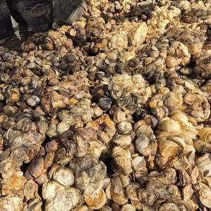 Caoutchouc naturel de haute qualité 65-70% DRC en morceaux, qualité standard, prix compétitif, FOB/CIF disponible, produit en latex du Vietnam - Product Image 2