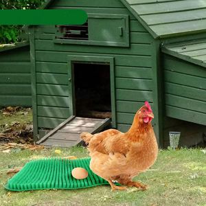 Chất Lượng Cao Màu Xanh Lá Cây Gà Coop Trứng Nest Miếng Đệm Tổ Trứng Mềm Miếng Đệm Chăn Nuôi Gia Cầm - Product Image 2